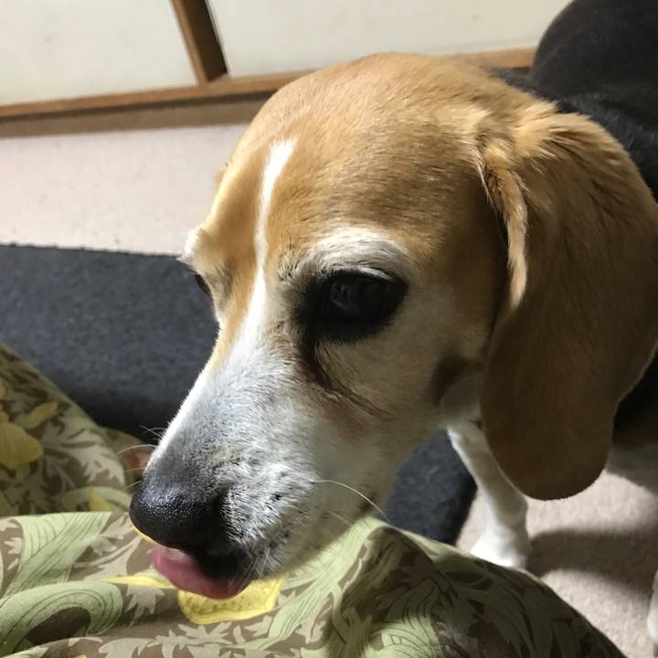 6a897662 5b59 4fbe bfa0 e5561e045630