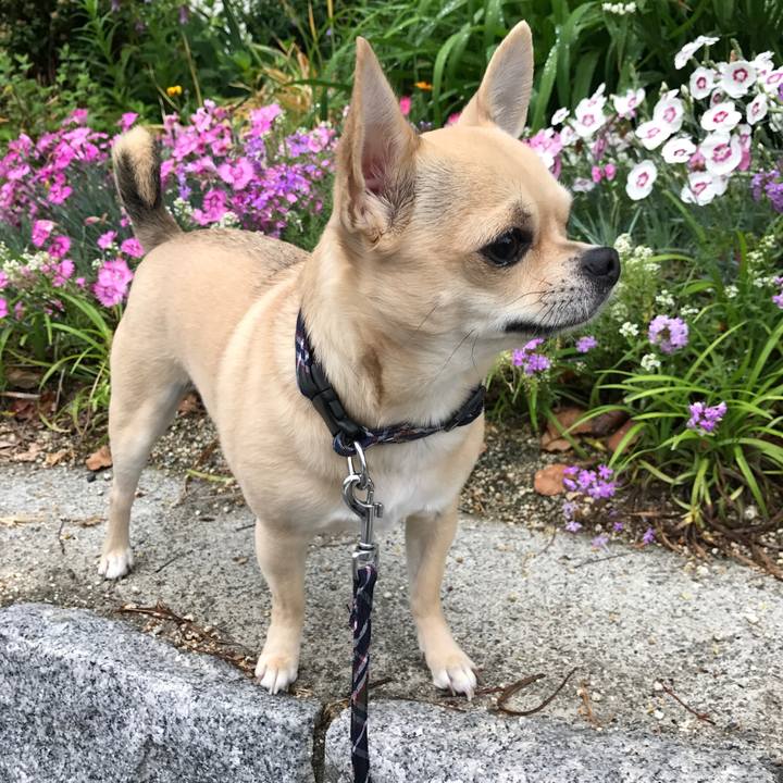 6a8a630a ac95 42f2 a91e c7d65cb9fe55