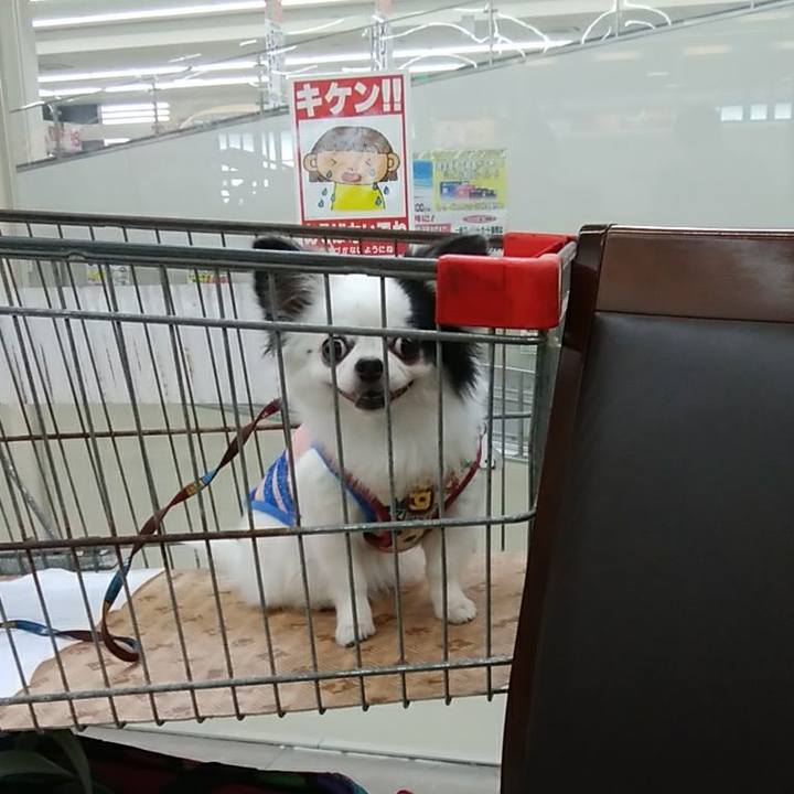 6a8aeabb 4cf2 4654 b2d6 1fca41722020