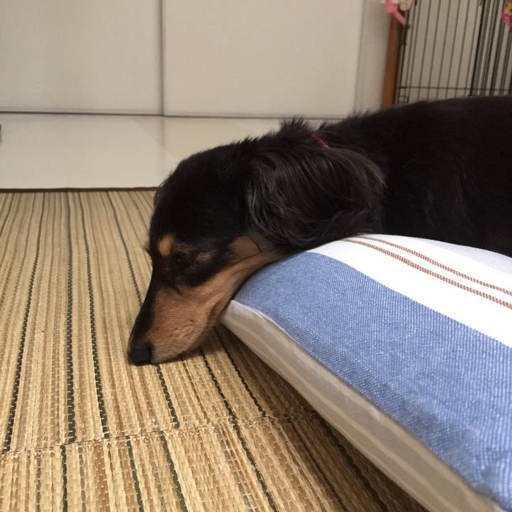 6a8aeb9a dabd 4b8d 8d48 1ae14086dbfd