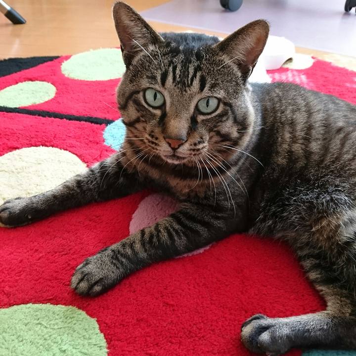 6a8b1435 7696 49d0 a52c 6c47c483c827