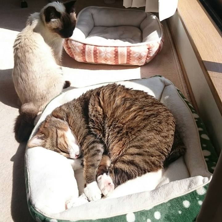 6a8b6e59 c865 4c89 881b 1aac70bdc016