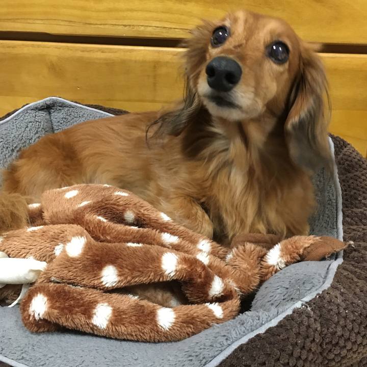 6a8bd135 f0e5 4666 a3c2 dcf3e9b60761