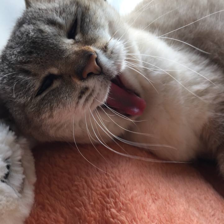 6a8c050d 1f57 4fb9 9d0c 7279b33def5d