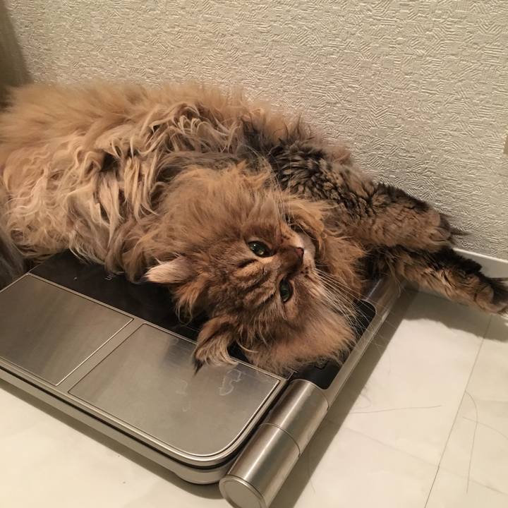 6a8cf689 0bcd 4743 aa9d 9a147ccc0545