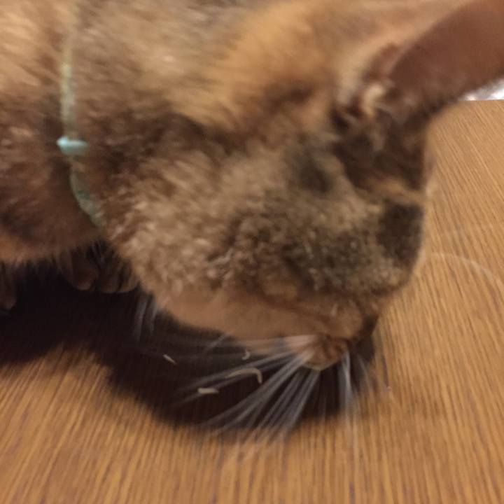 6a8d7b3d 001c 4d8d 8093 9e7a0e623a73