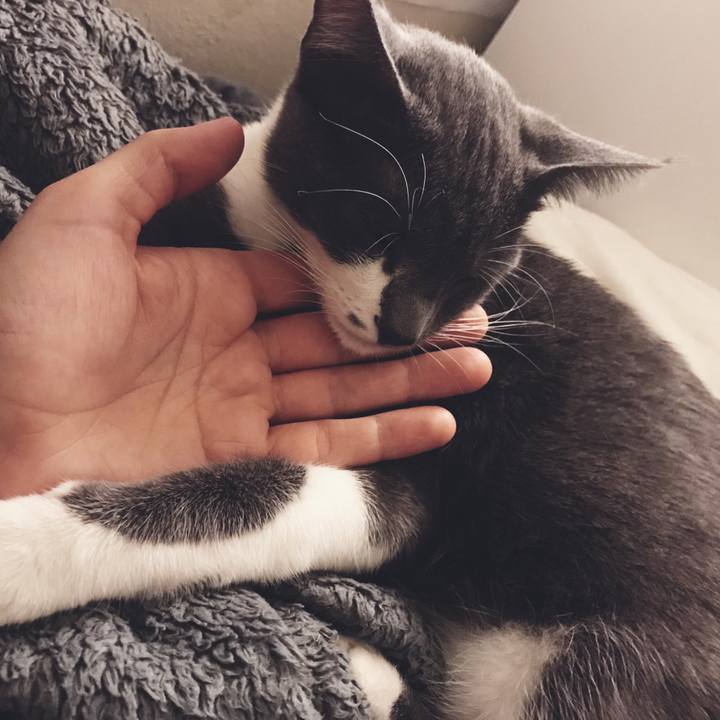 6a8e1128 322d 4b68 9e7f a83e1138443a