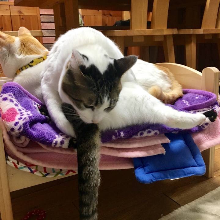 6a8e46a6 46fe 4bb4 9cca 9d60d22540ce