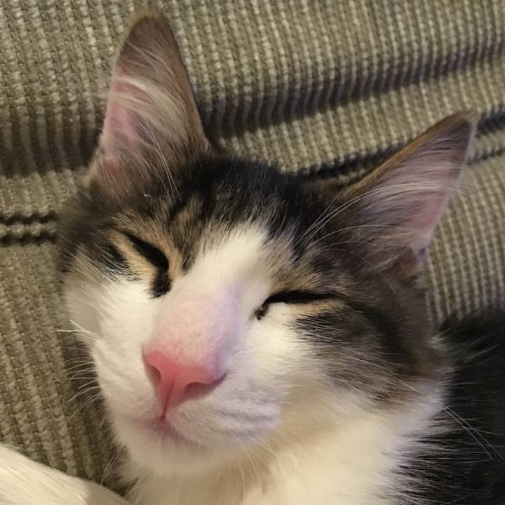 6a8ea7a2 eab8 4044 af81 d3d12a69b703