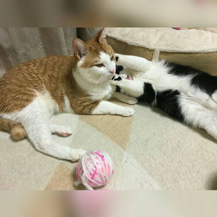 6a8f7fac 8dc5 44f9 b846 6977bf0eb402