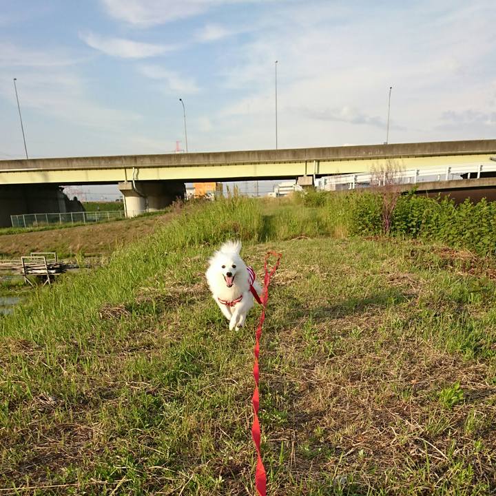 6a8fb02f 6ce1 41b1 b06c 2a28331848b4