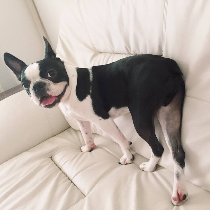 6a9003da e031 4717 86da e13bf0b2952f