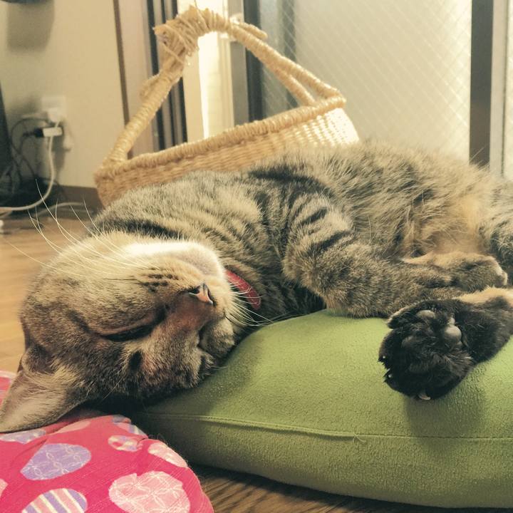 6a90a998 bc35 4d12 b0c1 7ccf5e208435