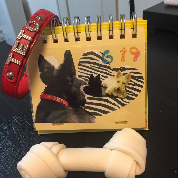 6a90cc02 ee89 4263 ba88 ef5f67d8ae20