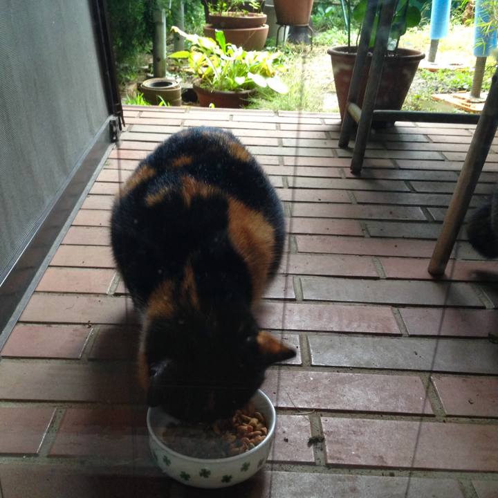 6a91c214 a0fe 4651 9885 2d2e33d4c1ab