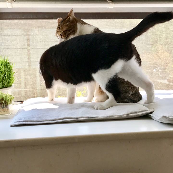 6a91ce2d da2b 4734 bd38 9b5a691fc849