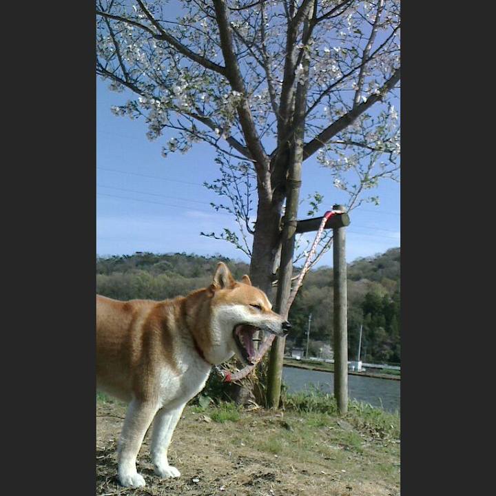 6a91df8e 6a47 47ca 9b16 819dba3d2cf5