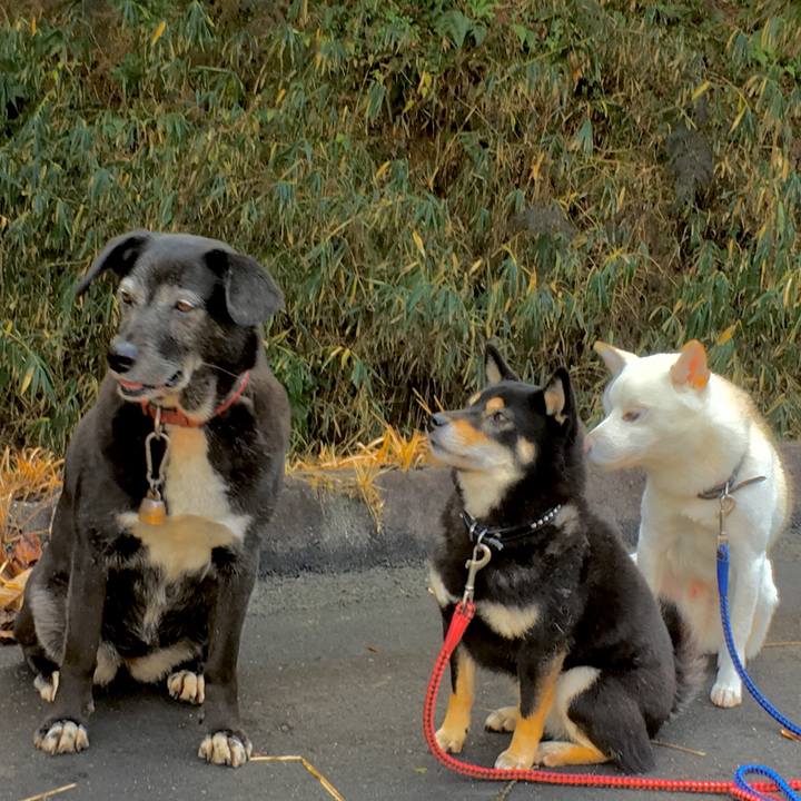 6a91f5cf d091 4d52 986f 084cb5e0b83e