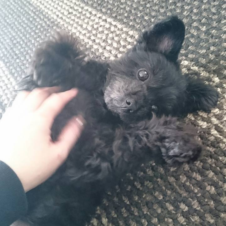 6a920377 0eec 44b6 a180 d410796313e6