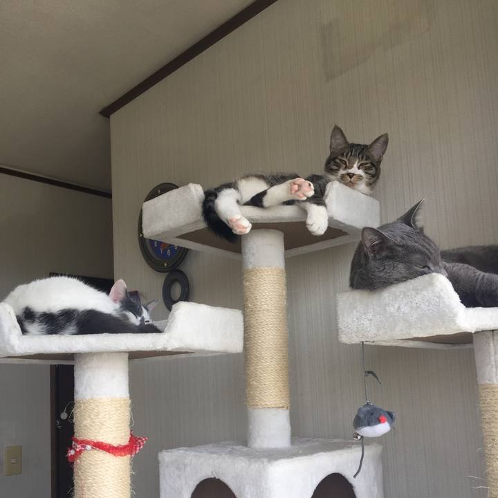 6a9286ba 9eec 46f5 9ae7 ee8b9e46e2c3