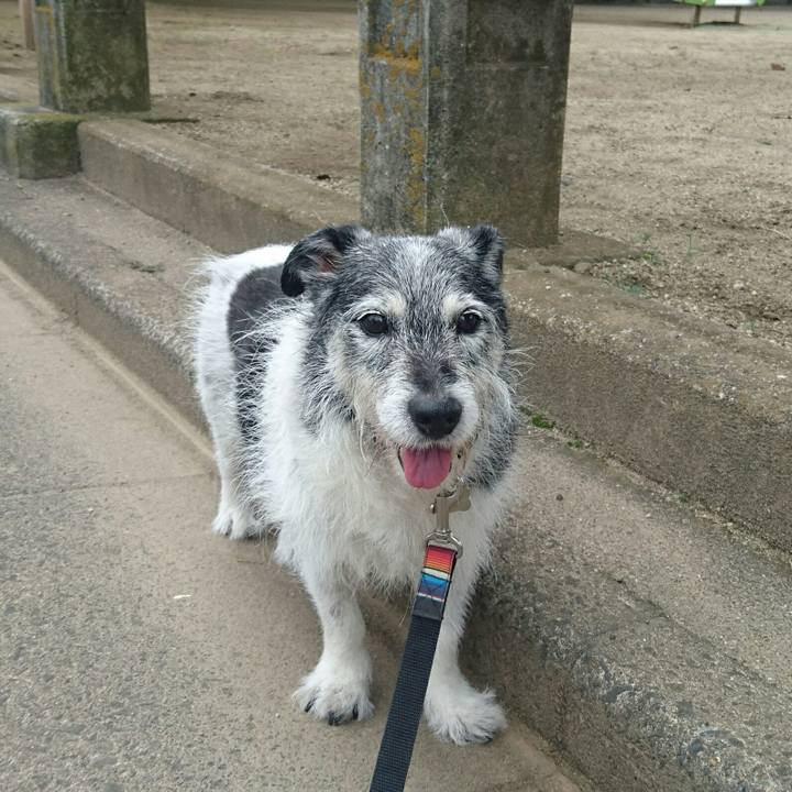 6a92927b 04ee 4a61 96df c83f601bb6df