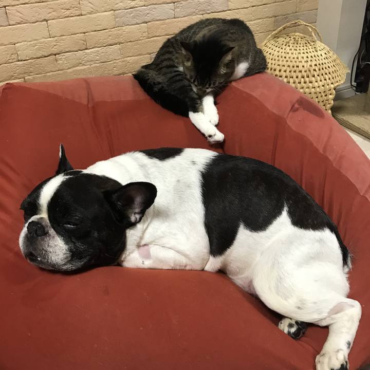 6a93664c 2277 418d 80a6 e52354daca2e