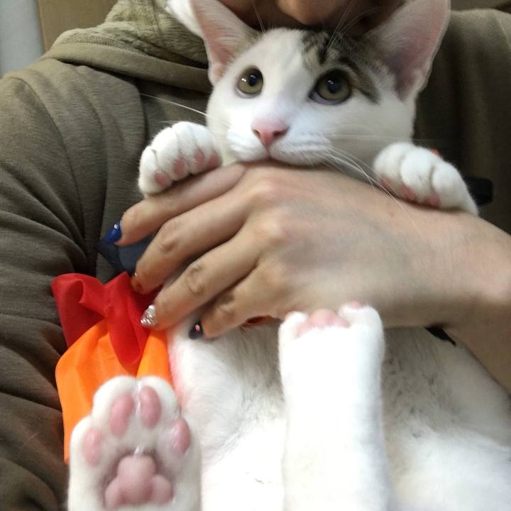 6a947022 7434 4d59 9f29 bd0a366ce96b