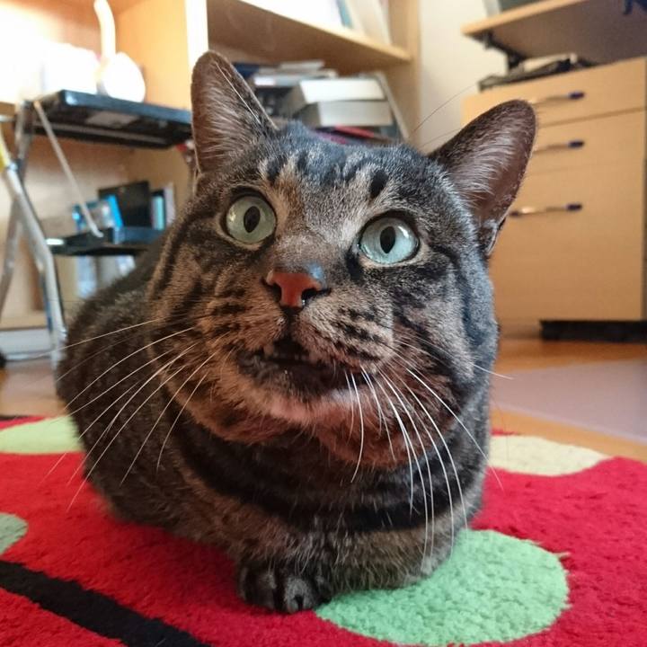 6a948e51 85c6 4917 ab71 377d9134d02b