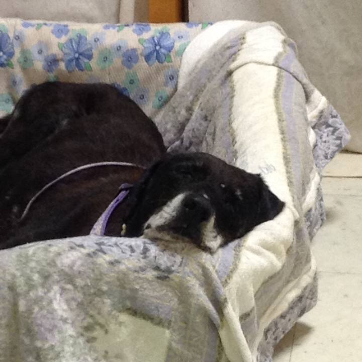 6a94bd48 7b38 4b49 a5fb 3b27757ee582