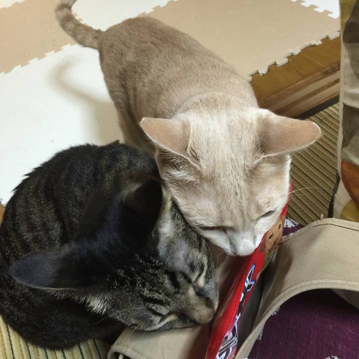 6a95374e cdea 4866 a36f 56d205d7736b