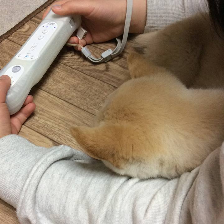 6a95d890 27ed 4212 8a6e 0b1403c1b868