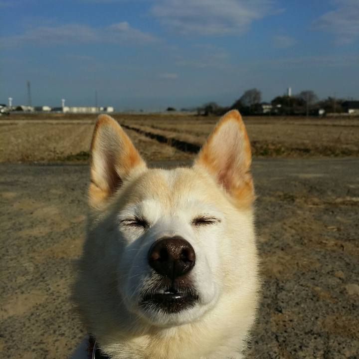 6a962ea2 f969 4f7b b670 6a918f9172c2