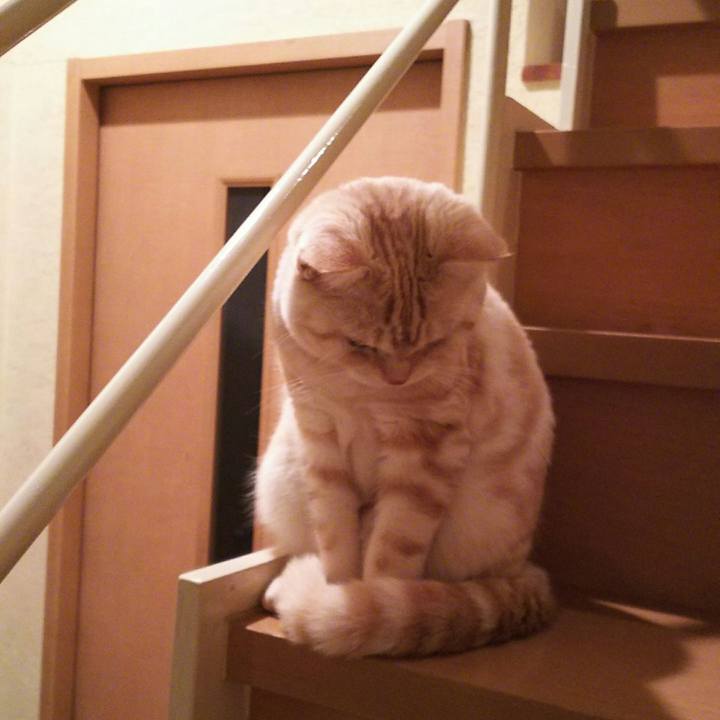 6a968f9f d55f 4478 bec1 544c6327fc4d