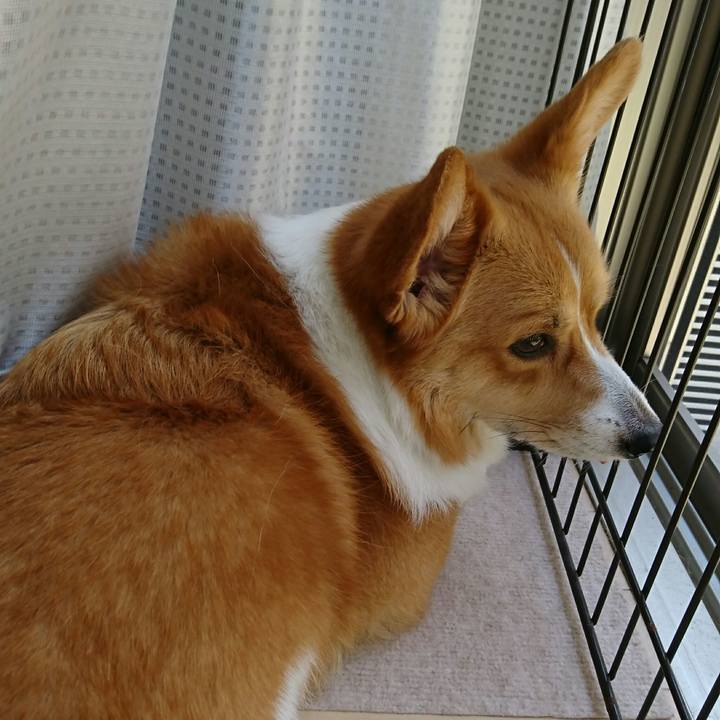 6a96ae32 d453 4aa5 bb97 124167f725a0