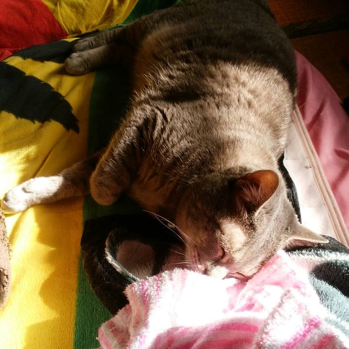 6a975121 3e86 4f32 84d4 51b54e5a0b17