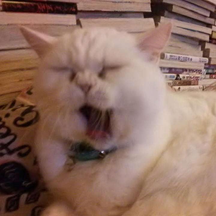 6a97d170 385d 49b4 b216 5b788b855f5d