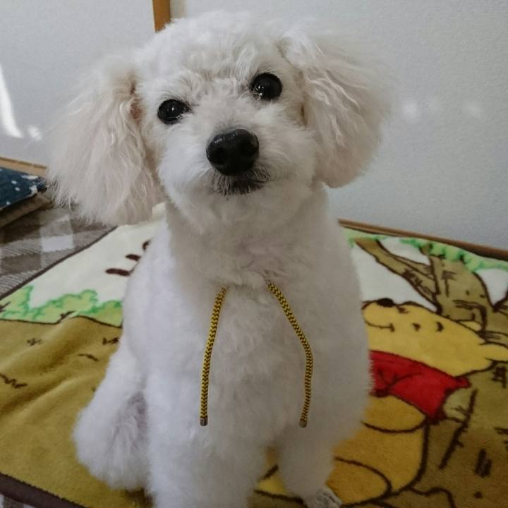 6a981bfb bdf9 4d62 acea 10e54ab1b2ee