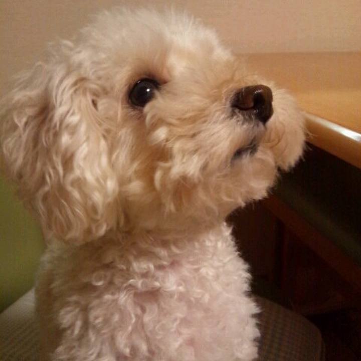 6a9859e1 b920 45e6 a609 5dbcd049d74a