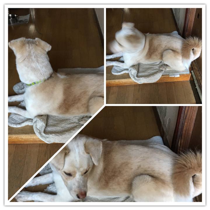 6a989cb4 42ff 4dfc aa70 a92cca062b6b