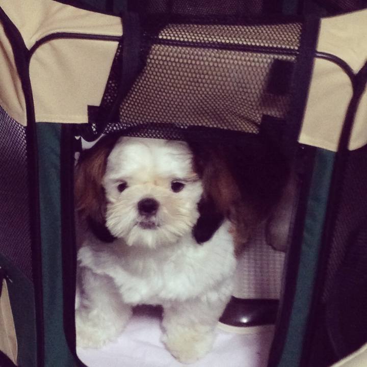 6a9933de c857 4685 8859 f8a3e6150d65