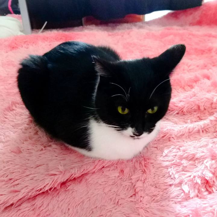 6a99a3e8 9064 4a08 91ff 63ac71d8408b