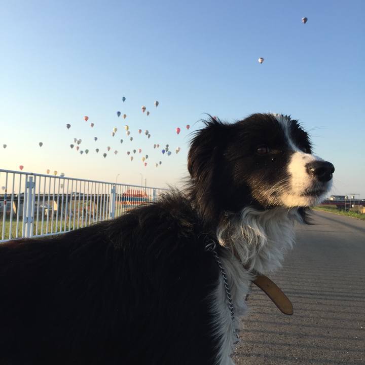 6a99e624 09a8 4de7 bc89 a4d3fb115d59