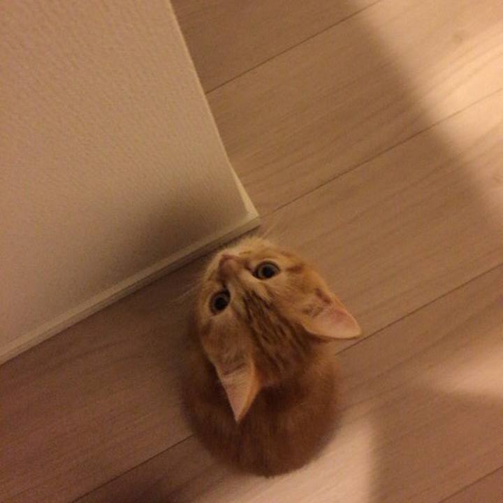 6a9abecb 2ad1 4454 ad14 dc19ad082e8c