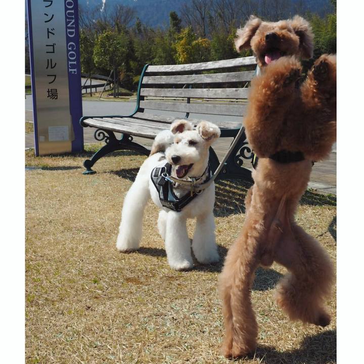 6a9ac1c6 4366 4daa a3df 307549f3b6f3