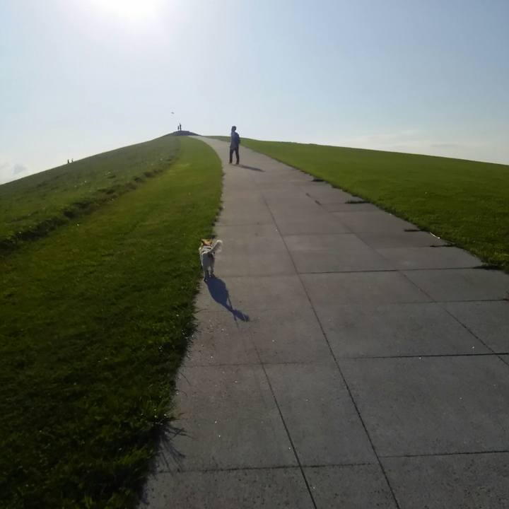 6a9b0f79 143c 470e 9c9f 8a721d04db8c