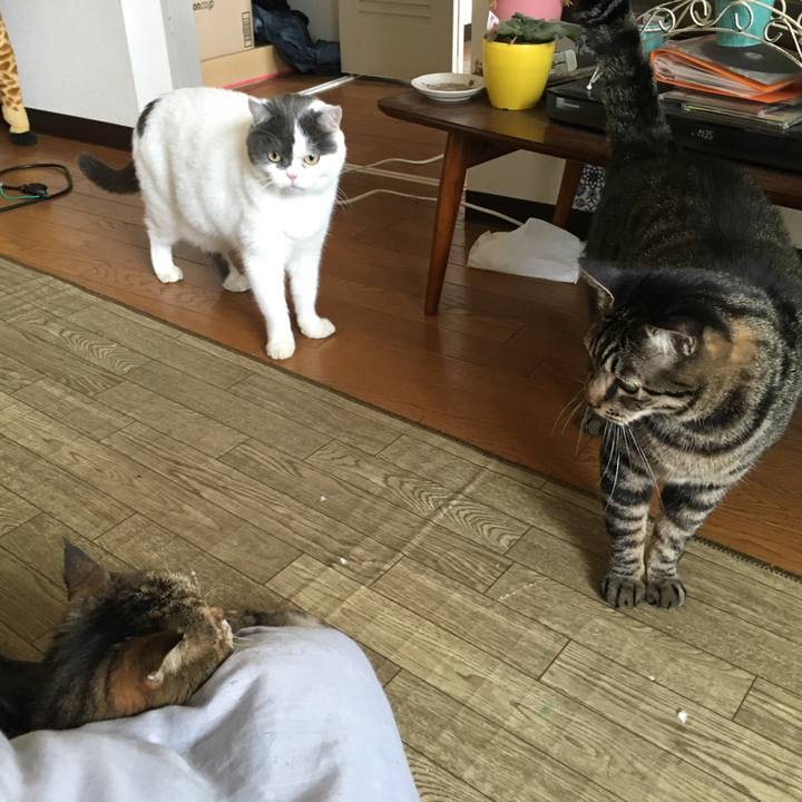 6a9c047a a1f5 4237 94a4 e43ab14705ce