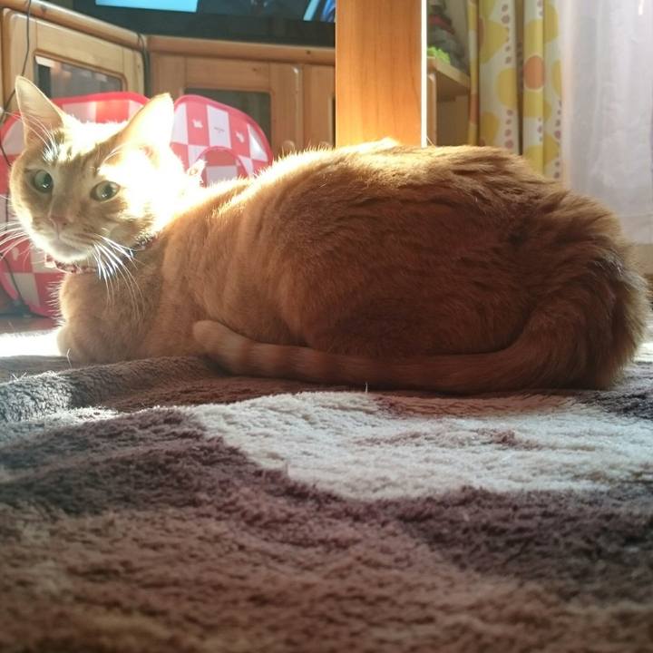 6a9c1178 37d8 4e97 9b3c 7a52cd1914c1