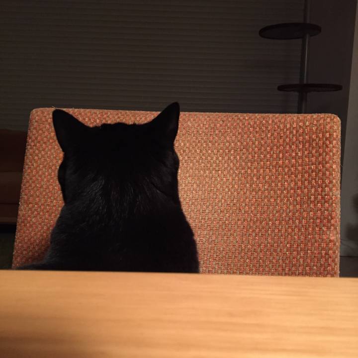 6a9c21a6 d0e5 4212 908d 5793b646087b