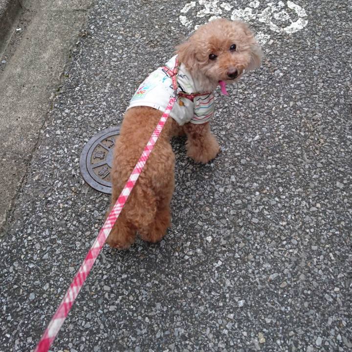 6a9c3a95 7a30 42cc 9977 ac84a1257276