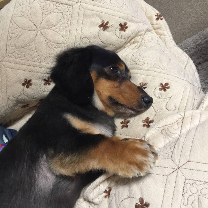 6a9c5afe 135d 4ae2 be38 0cb9b29ebaeb